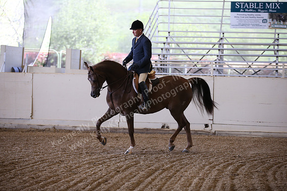 AHANC_Show18_FriPM_1599