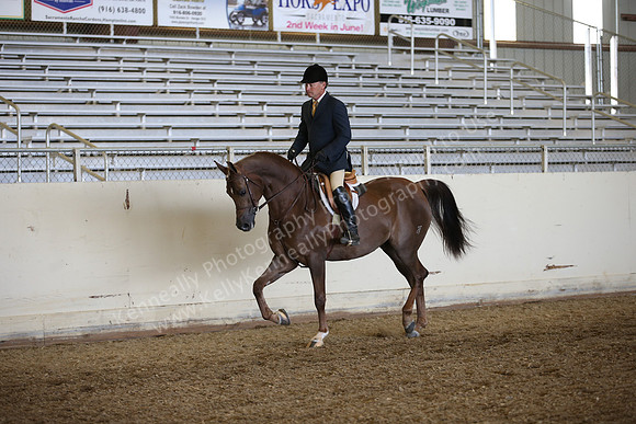 AHANC_Show18_FriPM_1601