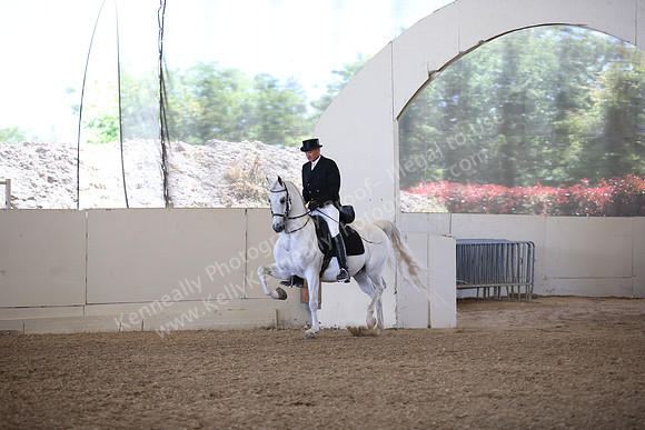 AHANC_Show18_FriPM_1611