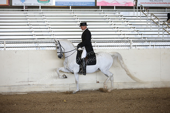 AHANC_Show18_FriPM_1624