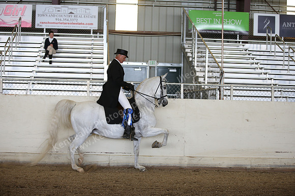 AHANC_Show18_FriPM_1640