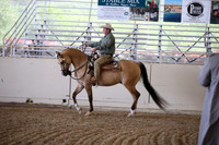 AHANC_Show18_FriPM_1650
