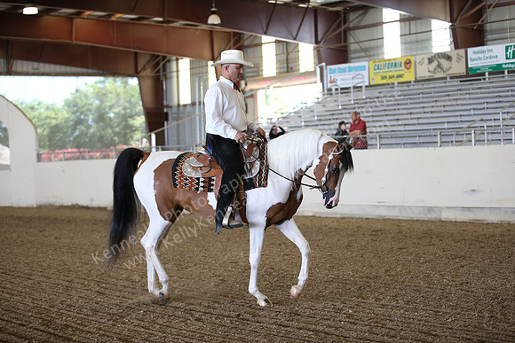AHANC_Show18_FriPM_1659