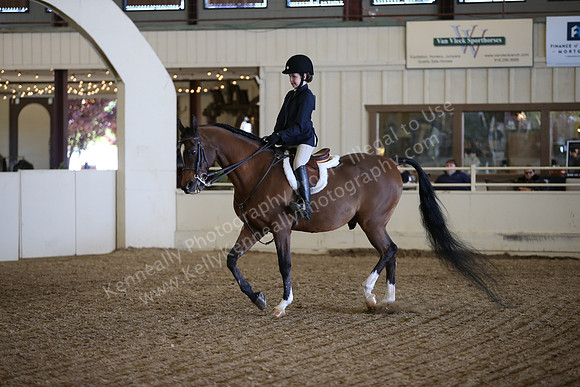 AHANC_Show18_FriPM_1679