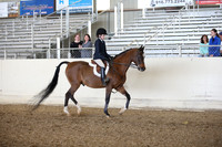 AHANC_Show18_FriPM_1681
