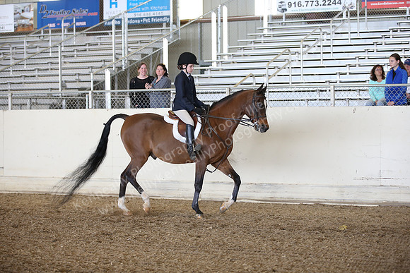 AHANC_Show18_FriPM_1681
