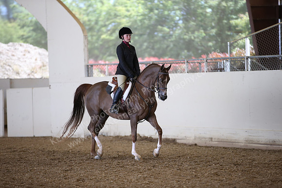 AHANC_Show18_FriPM_1682