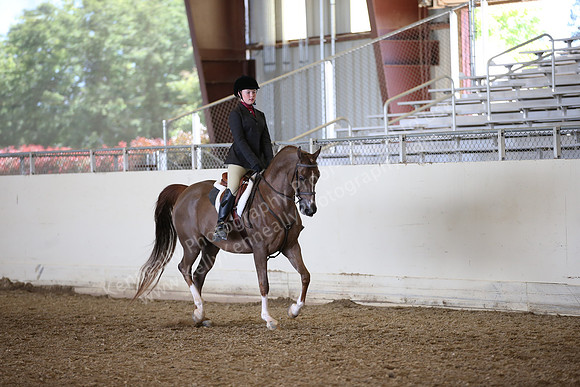 AHANC_Show18_FriPM_1683