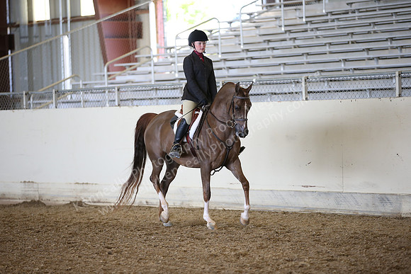 AHANC_Show18_FriPM_1684