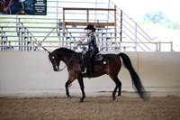 Class 78 Arabian Western Pl AATR Choice & Elite Champ
