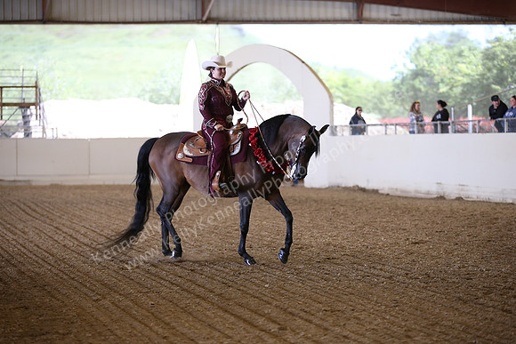 AHANC_Show18_FriPM_1707