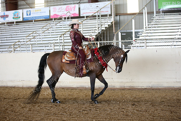 AHANC_Show18_FriPM_1713