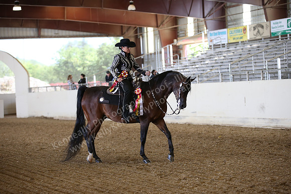AHANC_Show18_FriPM_1716