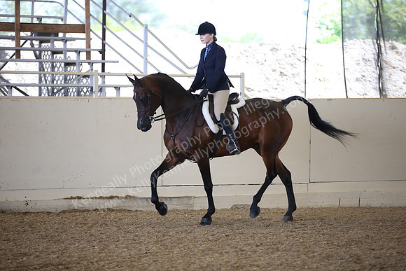 AHANC_Show18_FriPM_1727