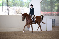 AHANC_Show18_FriPM_1731