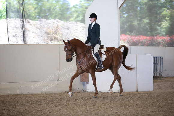 AHANC_Show18_FriPM_1731