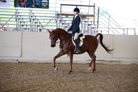 AHANC_Show18_FriPM_1732