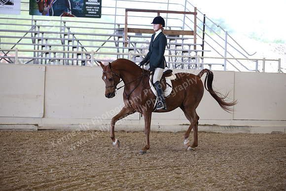 AHANC_Show18_FriPM_1732