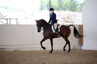 Class 79 Arabian Hunter Pl JTR 14-18