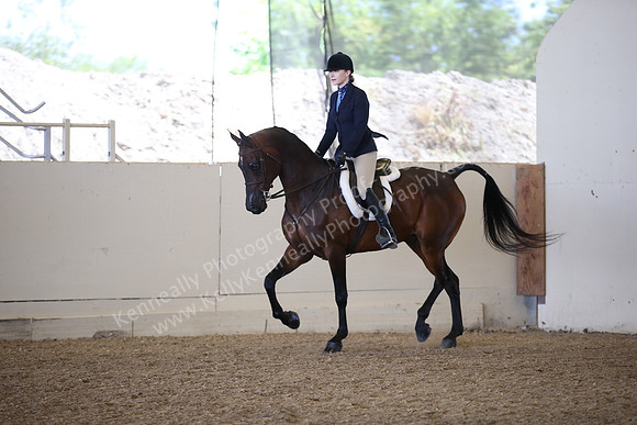 AHANC_Show18_FriPM_1726