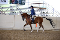 AHANC_Show18_FriPM_1740
