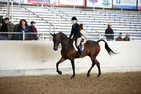 AHANC_Show18_FriPM_1742