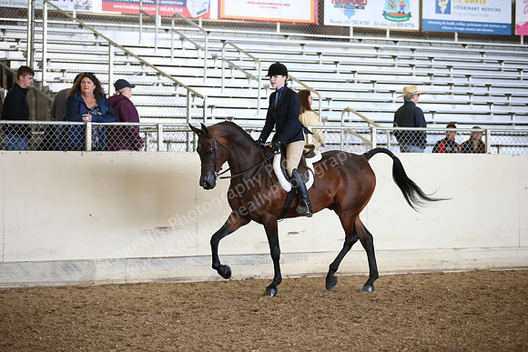 AHANC_Show18_FriPM_1742