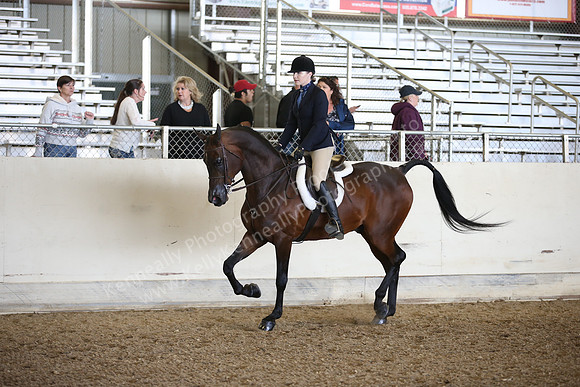 AHANC_Show18_FriPM_1743