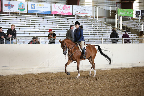 AHANC_Show18_FriPM_1745