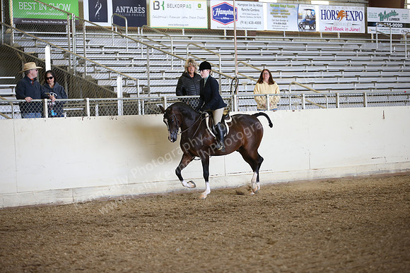 AHANC_Show18_FriPM_1747