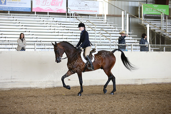 AHANC_Show18_FriPM_1752