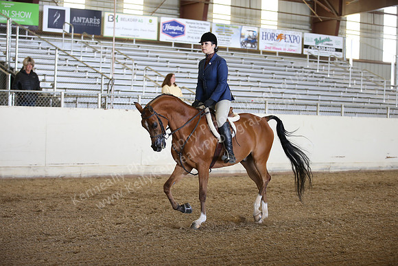 AHANC_Show18_FriPM_1755