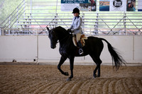 Class 81 HA/AA Hunter Pl Jr Horse Champ