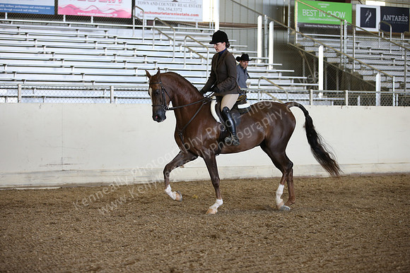AHANC_Show18_FriPM_1790