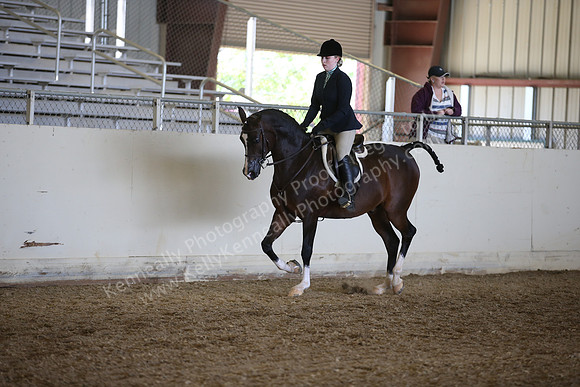 AHANC_Show18_FriPM_1760