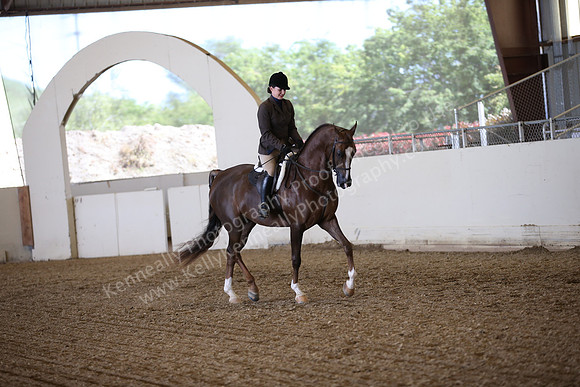 AHANC_Show18_FriPM_1795
