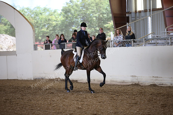 AHANC_Show18_FriPM_1763