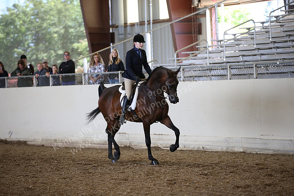 AHANC_Show18_FriPM_1764