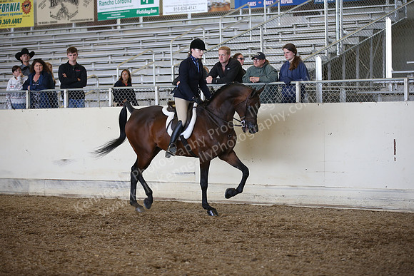 AHANC_Show18_FriPM_1766