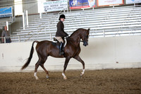 AHANC_Show18_FriPM_1799