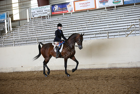 AHANC_Show18_FriPM_1780