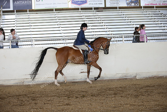 AHANC_Show18_FriPM_1777