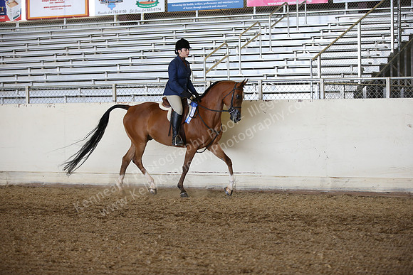 AHANC_Show18_FriPM_1773