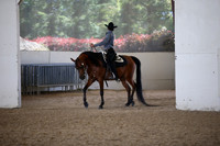 Class 82 Arabian Western Pl Champ Geldings