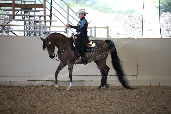 AHANC_Show18_FriPM_1816