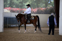 AHANC_Show18_FriPM_1820