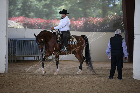 AHANC_Show18_FriPM_1820