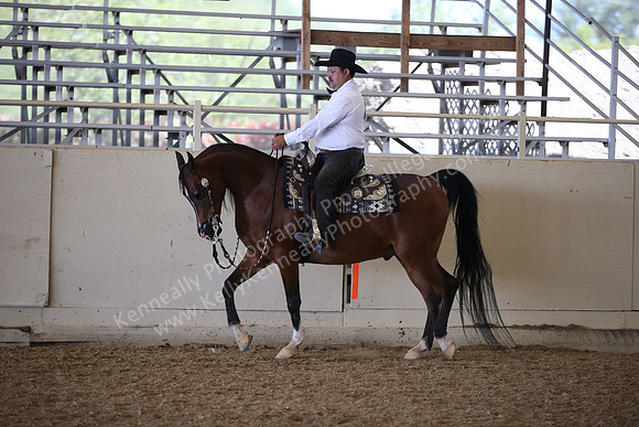 AHANC_Show18_FriPM_1823
