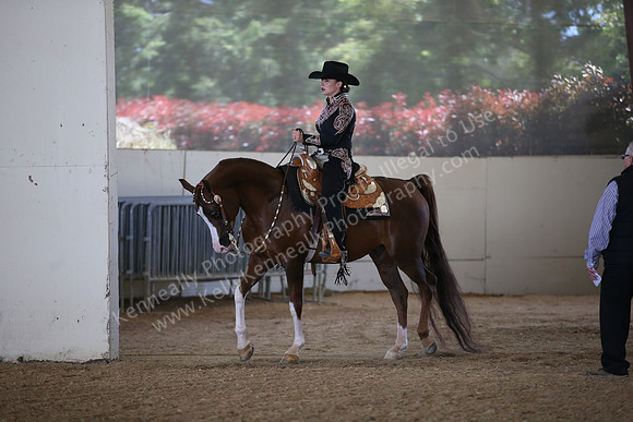 AHANC_Show18_FriPM_1830