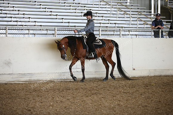 AHANC_Show18_FriPM_1833